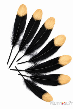 Gans goldene Spitze - 15-21 cm - schwarz